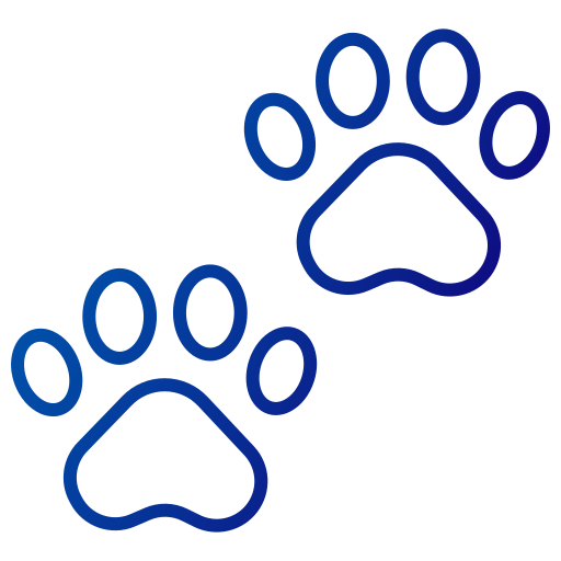 Pet Insurance